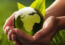 12 روش برای محافظت از محیط زیست