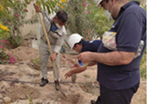 تعیین پارامترهای عمومی و شاخص در گروه خاک