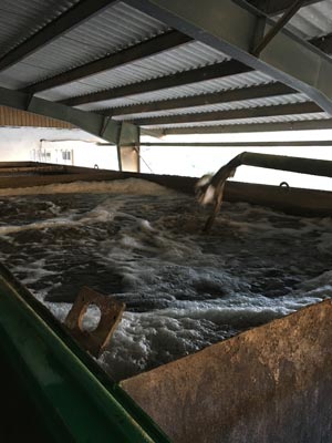 بررسی فاضلاب صنایع محصولات دریایی توسط آزمایشگاه معتمد محیط زیست