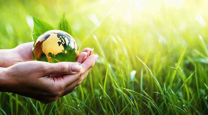 12 راهحل برای محافظت از محیط زیست